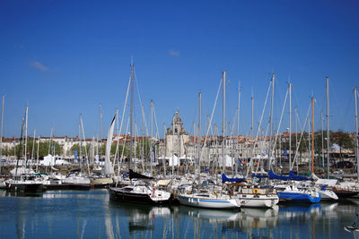 Sailboats moored in harbor