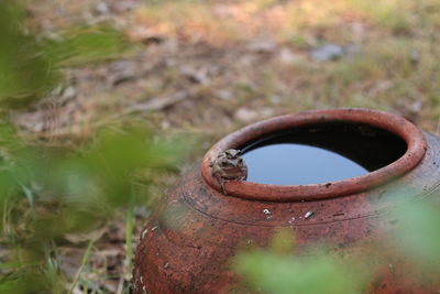 Close-up of rusty metal on field