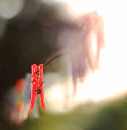 Close-up of red toy against blurred background