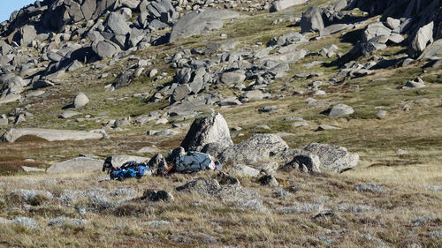 High angle view of rocks on field