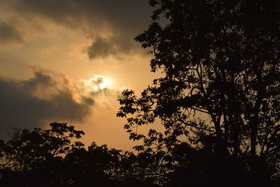 Low angle view of silhouette trees against sky during sunset