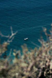 High angle view of birds flying over sea