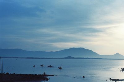 View of swan in sea at sunset