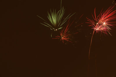 Low angle view of firework display at night