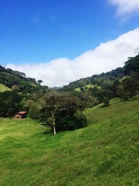 Scenic view of grassy field against cloudy sky