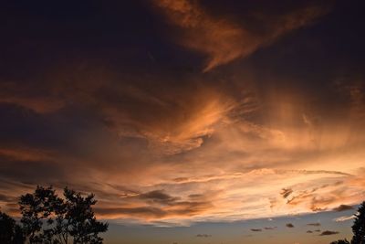 Low angle view of silhouette trees against sky at sunset