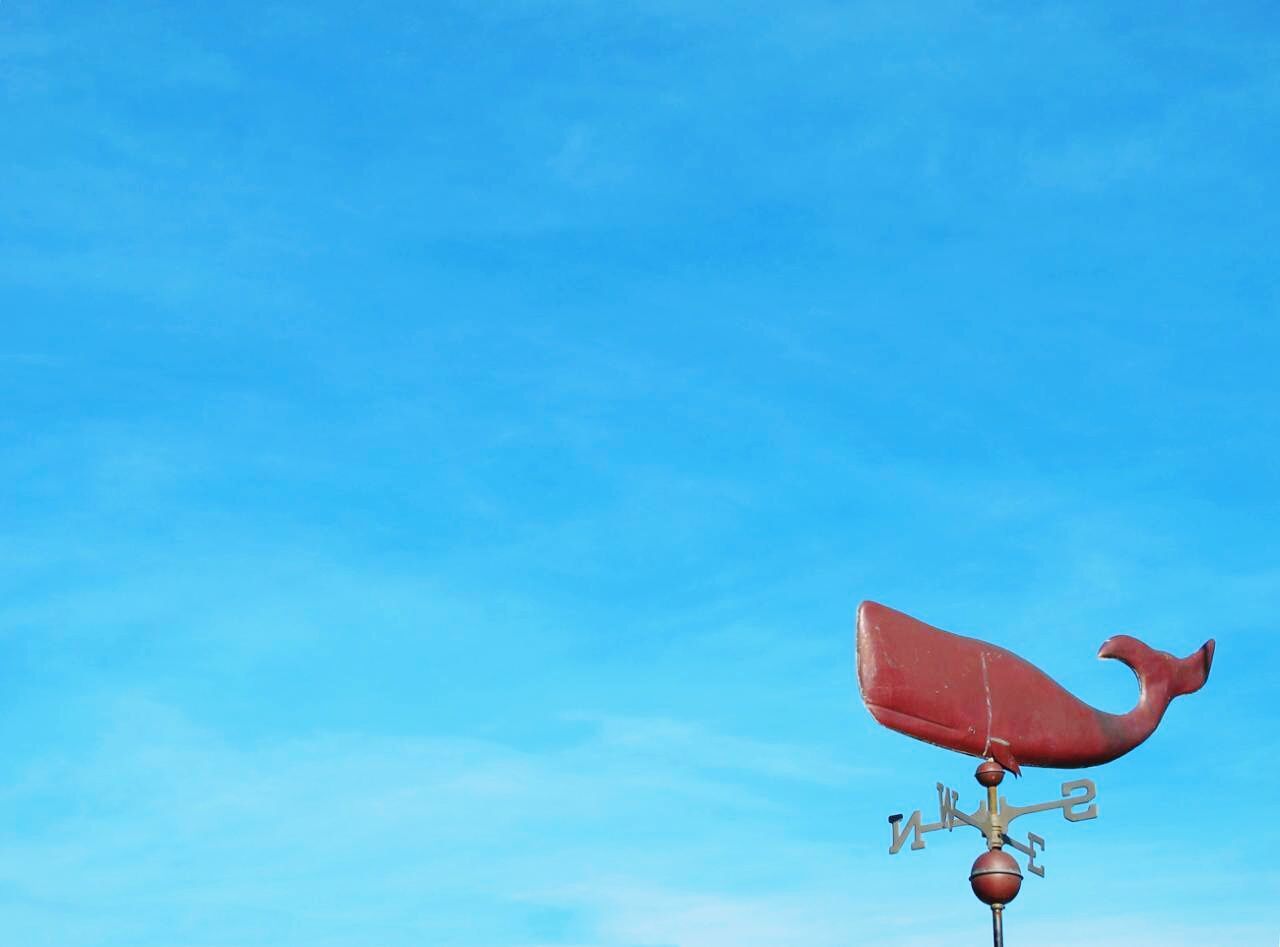 Whale wind vane