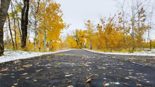 Road amidst autumn trees against sky