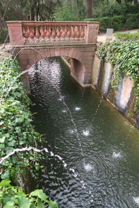 High angle view of turtle in water