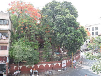 Trees in front of building