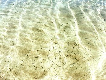 Full frame shot of sand