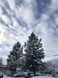 Trees against sky during winter