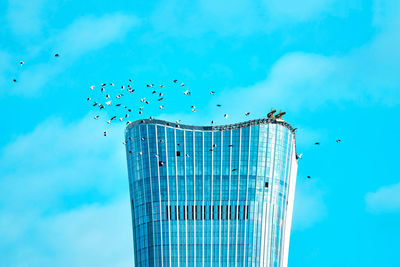 Low angle view of birds flying against blue sky