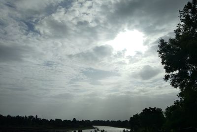 Low angle view of silhouette trees against sky