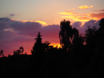 Silhouette trees against sky during sunset