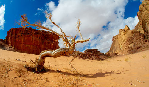 Beautiful mountain scenery in the mountain desert in wadi rum, jordan