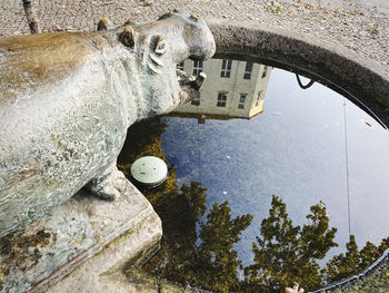 High angle view of horse statue by trees in city