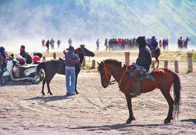 People riding horses on sand