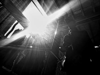 Low angle view of trees