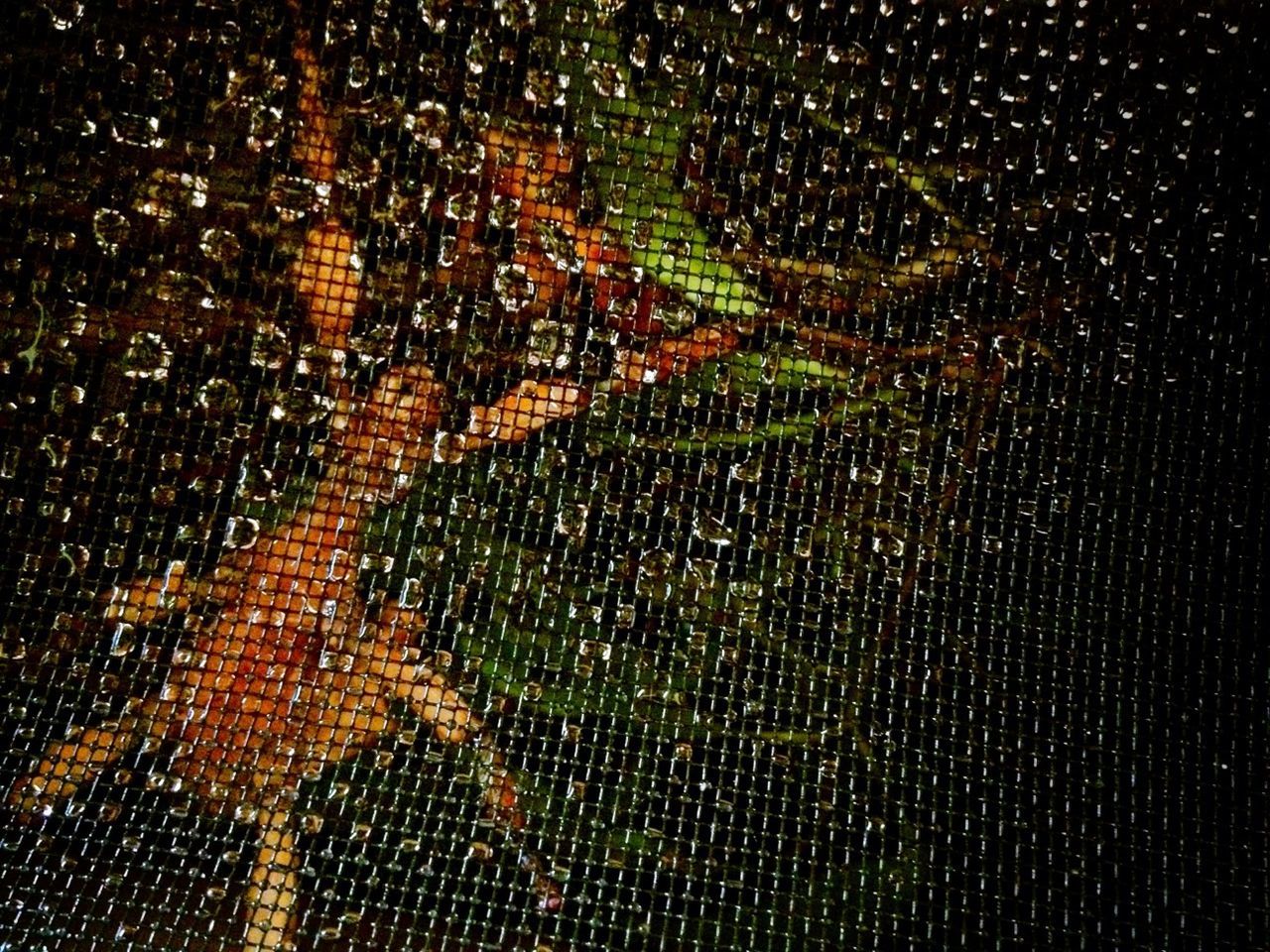 full frame, wet, backgrounds, drop, window, indoors, pattern, rain, spider web, water, night, close-up, raindrop, transparent, weather, glass - material, focus on foreground, illuminated, season, no people