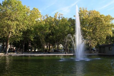 View of waterfall against trees