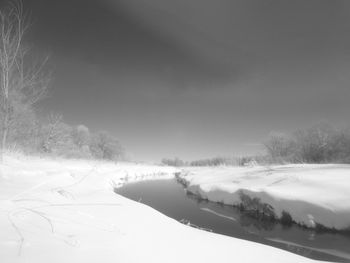 Snow covered plants against sky