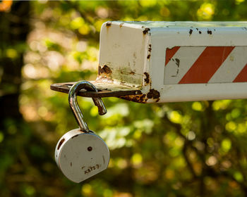 Close-up of padlocks on metal