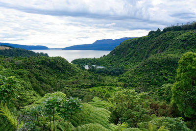 Scenic view of trees and mountains against sky