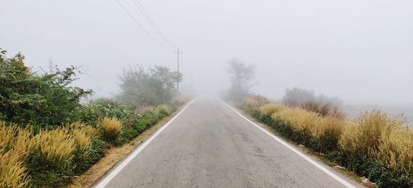 Road amidst trees against sky