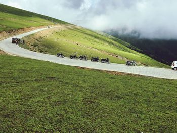 Scenic view of grassy field against sky