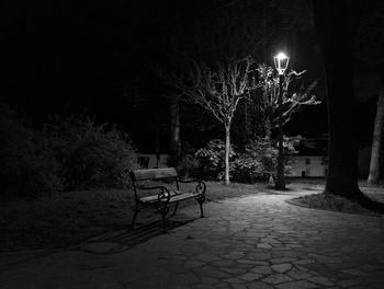 Empty benches against trees at night