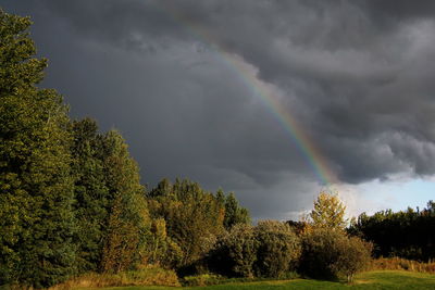 Rainbow over trees against cloudy sky