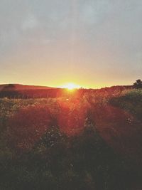 Scenic view of field against sky during sunset