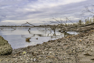 Scenic view of lake against sky during winter