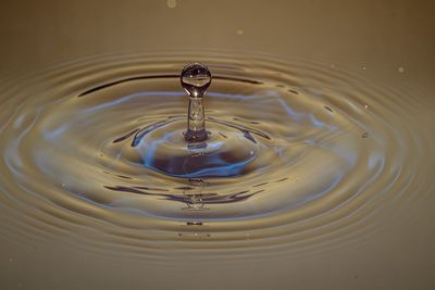Close-up of water drop