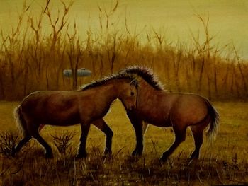 Horses standing on field