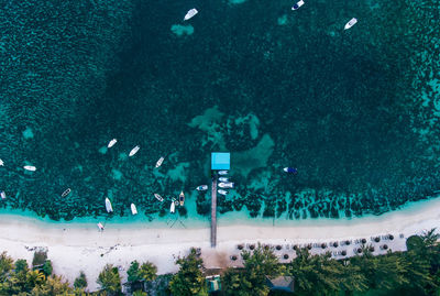 Aerial view of beach