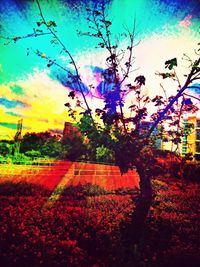 sky