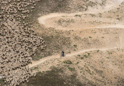 High angle view of man walking on sand