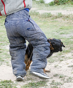 Low section of man with dog on field