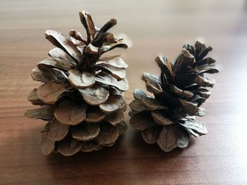 Close-up of fruits