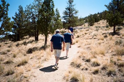 Rear view of friends walking on mountain in forest during summer