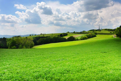 Scenic view of grassy field against sky