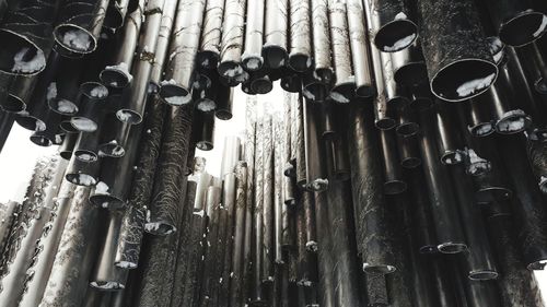 Low angle view of bamboo hanging from metal