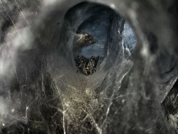 Close-up of building