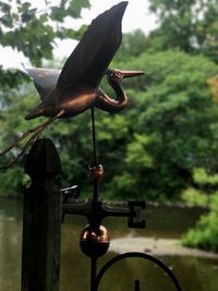 Close-up of bird perching on tree against sky