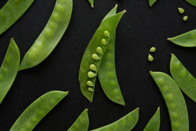 Full frame shot of green leaf