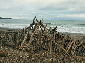 Driftwood on beach against sky