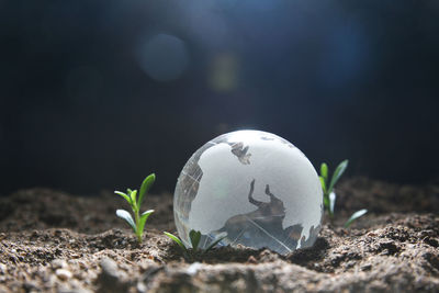 Close-up of globe and coins on ground