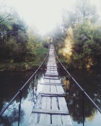 Footbridge in forest